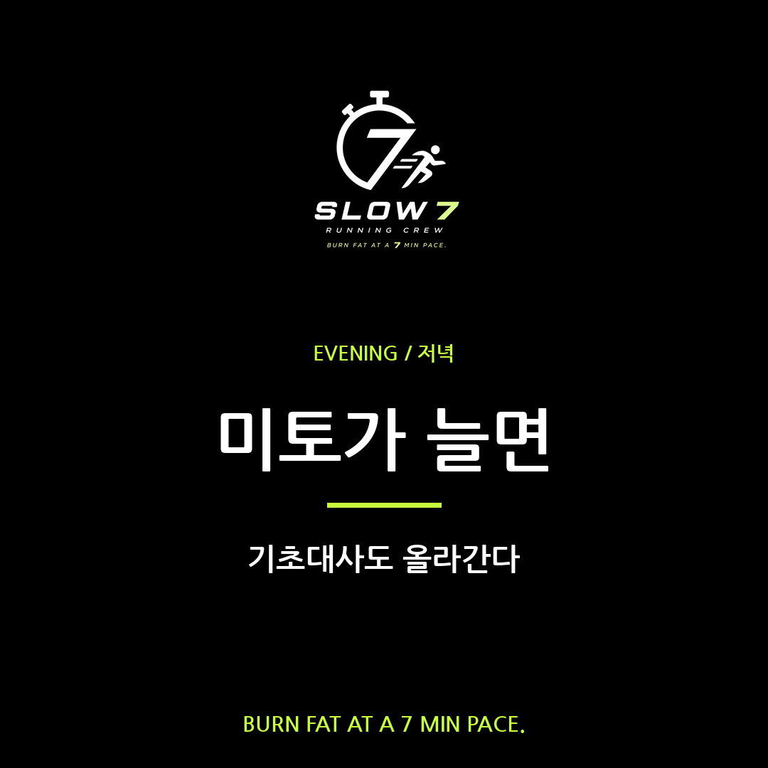 슬로우조깅으로 미토콘드리아 증식, 기초대사 올리기