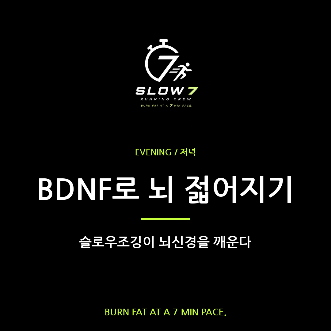 슬로우조깅으로 BDNF 분비 늘리기, 뇌가 젋어진다