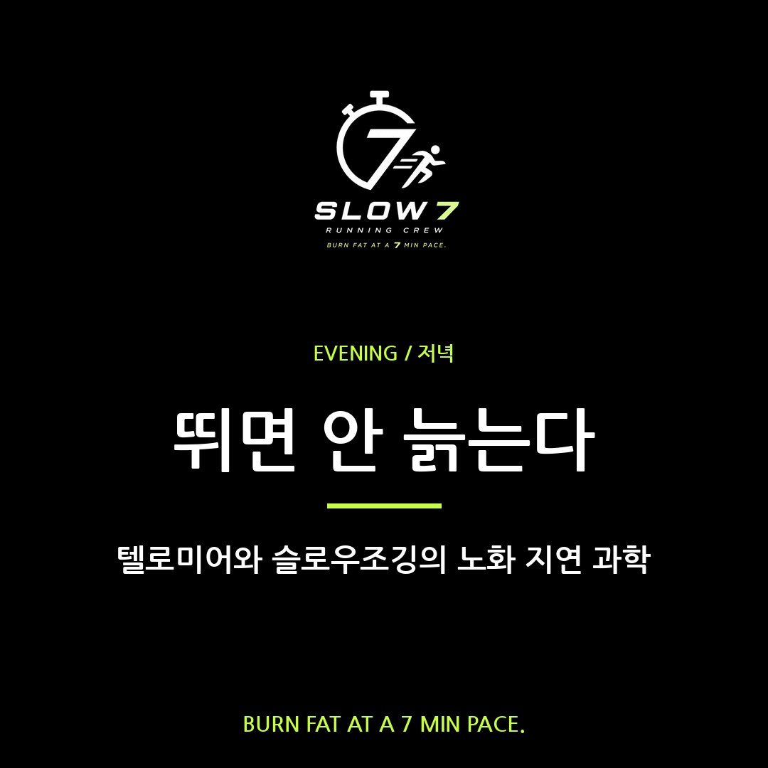 슬로우조깅이 텔로미어 길이를 지킨다 | 노화 지연의 과학