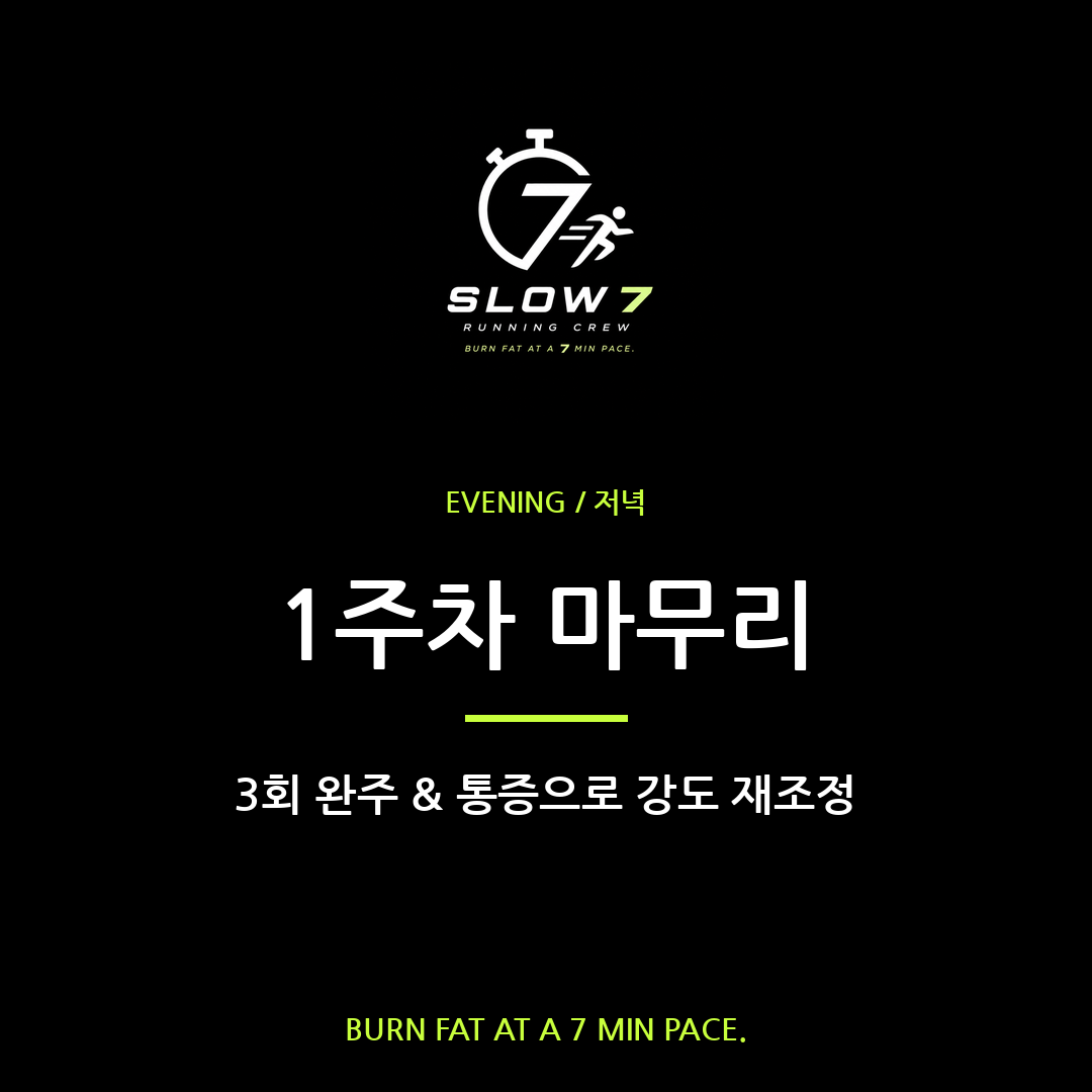 1주차 마무리 점검 | 3회 완주 & 통증 체크