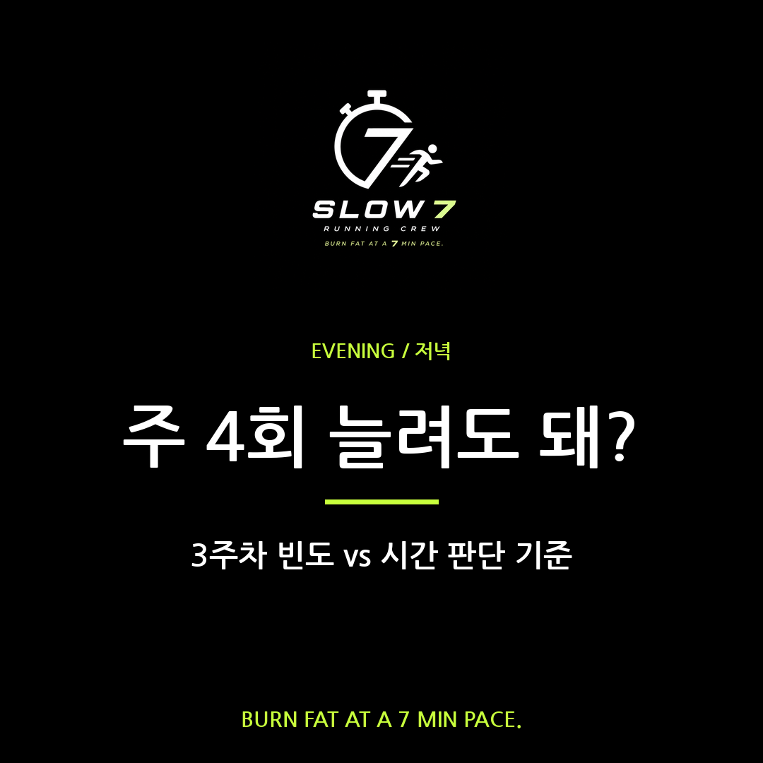 주 4회로 늘려도 될까 | 3주차 빈도 판단법