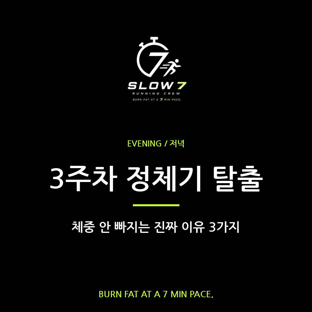 슬로우조깅 3주차 체중 정체기 진짜 이유