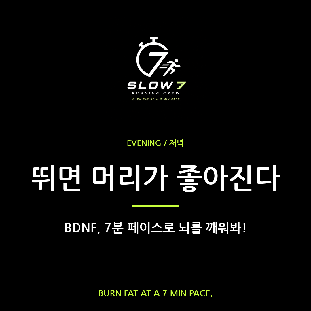 슬로우조깅이 뇌를 바꾼다 | BDNF 분비의 비밀
